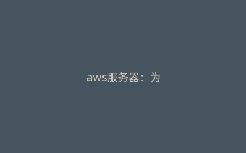 aws服务器：为什么它的技术支持更可靠？